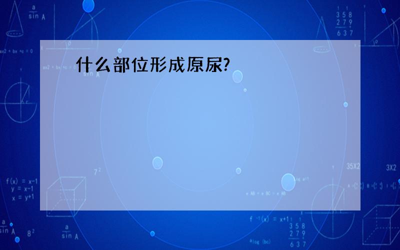 什么部位形成原尿?