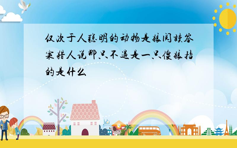 仅次于人聪明的动物是狼阅读答案猎人说那只不过是一只傻狼指的是什么