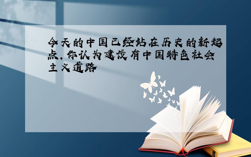 今天的中国已经站在历史的新起点,你认为建设有中国特色社会主义道路