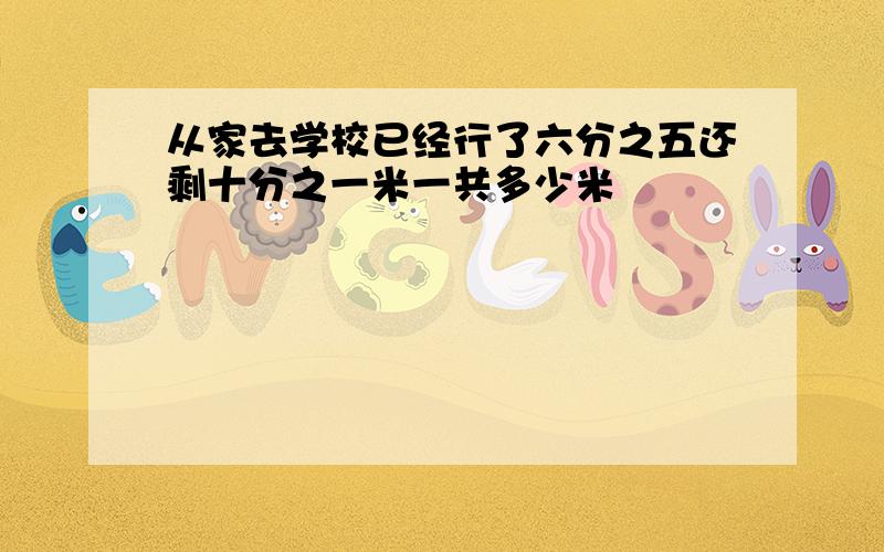 从家去学校已经行了六分之五还剩十分之一米一共多少米