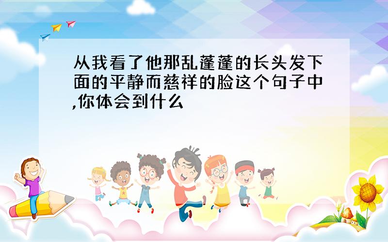 从我看了他那乱蓬蓬的长头发下面的平静而慈祥的脸这个句子中,你体会到什么