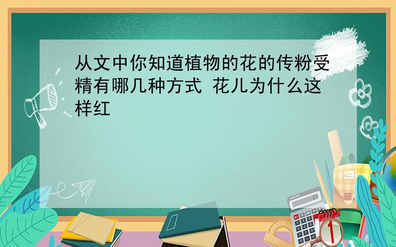 从文中你知道植物的花的传粉受精有哪几种方式 花儿为什么这样红