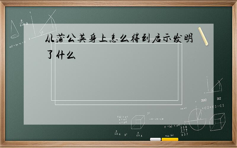 从蒲公英身上怎么得到启示发明了什么