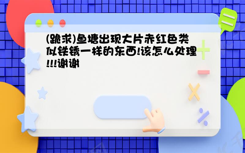 (跪求)鱼塘出现大片赤红色类似铁锈一样的东西!该怎么处理!!!谢谢