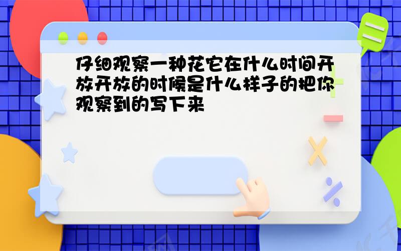 仔细观察一种花它在什么时间开放开放的时候是什么样子的把你观察到的写下来