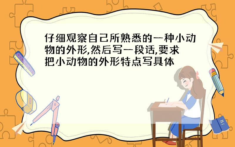 仔细观察自己所熟悉的一种小动物的外形,然后写一段话,要求把小动物的外形特点写具体