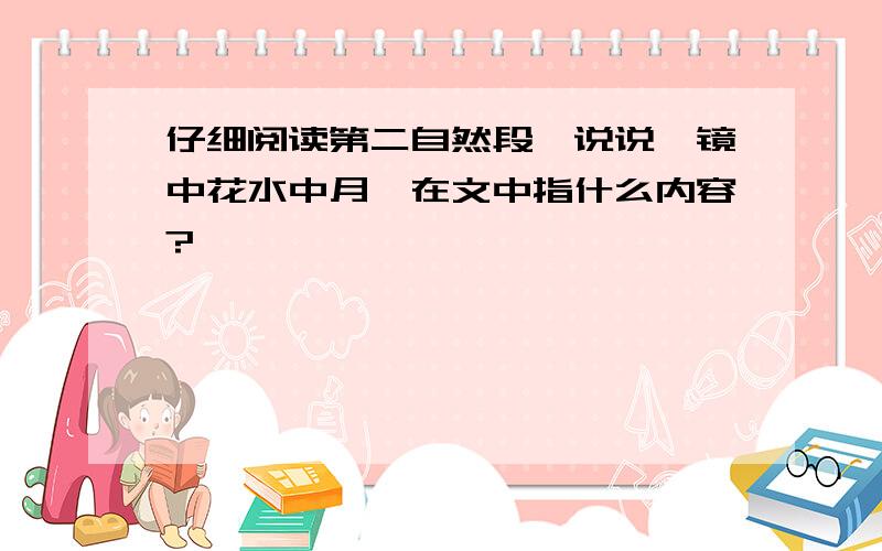 仔细阅读第二自然段,说说"镜中花水中月"在文中指什么内容?