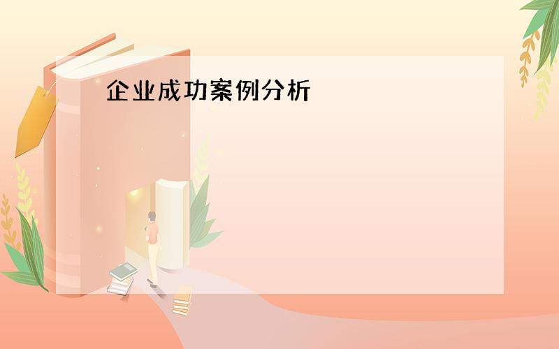 企业成功案例分析