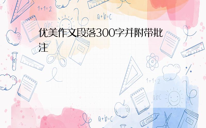 优美作文段落300字并附带批注