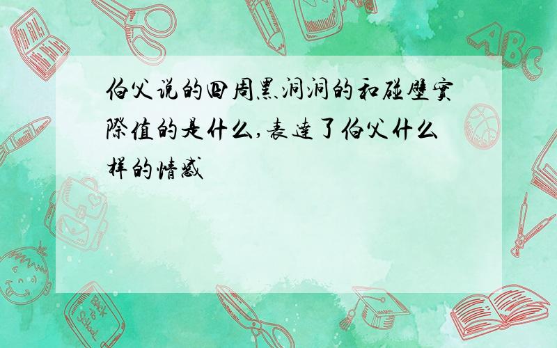 伯父说的四周黑洞洞的和碰壁实际值的是什么,表达了伯父什么样的情感