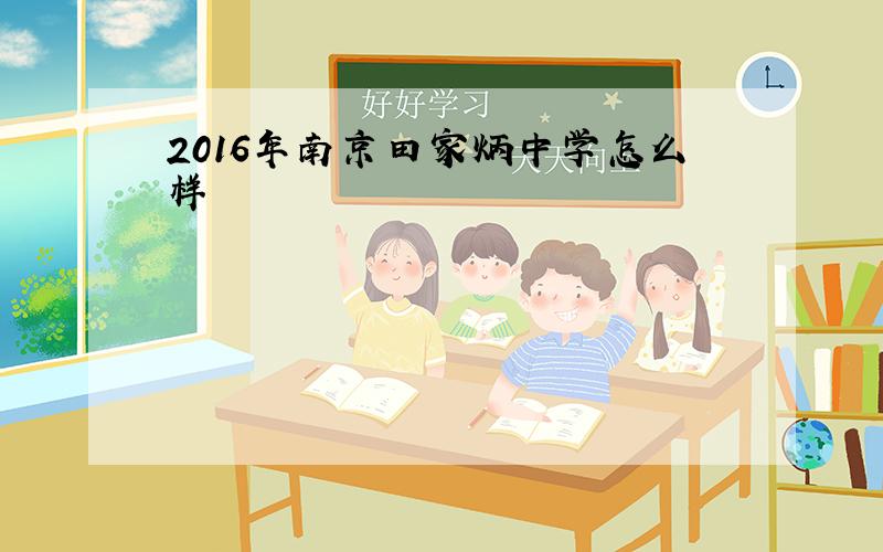 2016年南京田家炳中学怎么样