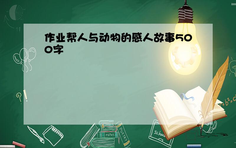 作业帮人与动物的感人故事500字