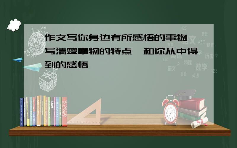 作文写你身边有所感悟的事物,写清楚事物的特点,和你从中得到的感悟