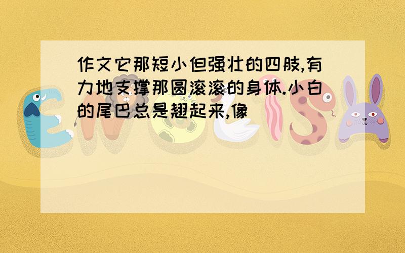 作文它那短小但强壮的四肢,有力地支撑那圆滚滚的身体.小白的尾巴总是翘起来,像