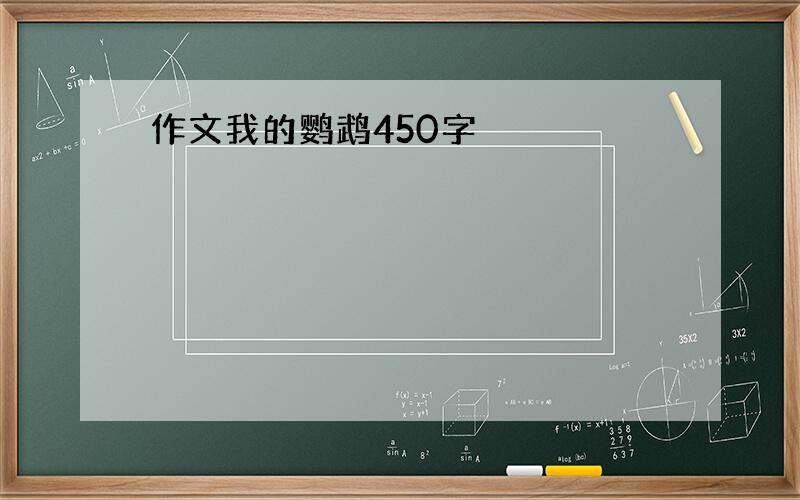 作文我的鹦鹉450字