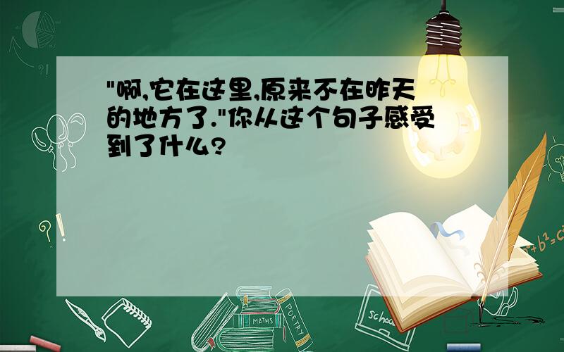 "啊,它在这里,原来不在昨天的地方了."你从这个句子感受到了什么?