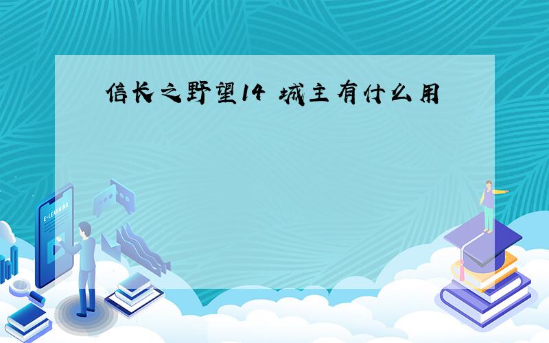 信长之野望14 城主有什么用