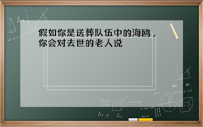 假如你是送葬队伍中的海鸥 ,你会对去世的老人说