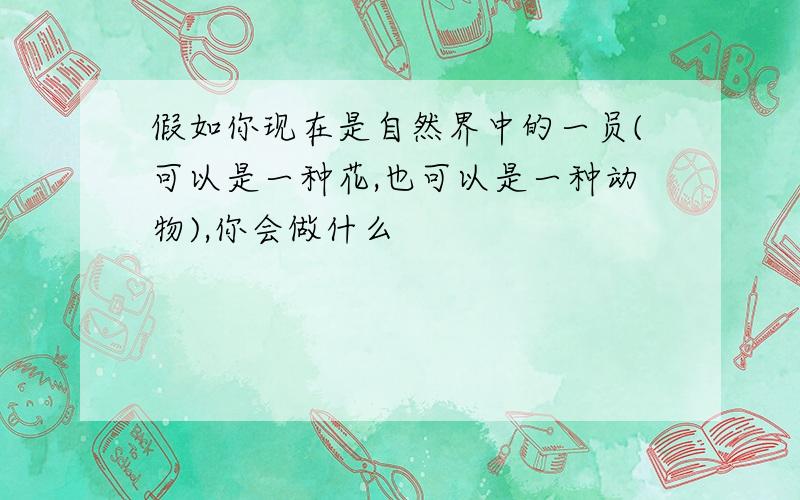 假如你现在是自然界中的一员(可以是一种花,也可以是一种动物),你会做什么