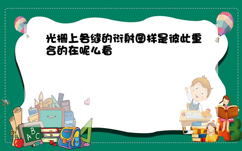 光栅上各缝的衍射图样是彼此重合的在呢么看