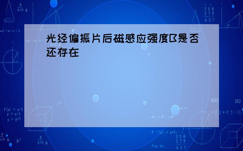 光经偏振片后磁感应强度B是否还存在