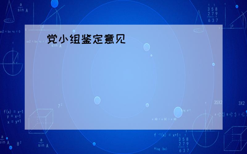 党小组鉴定意见