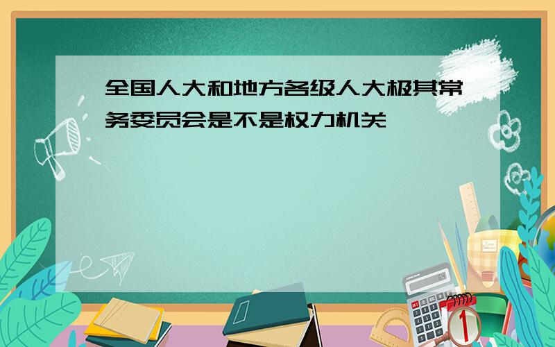 全国人大和地方各级人大极其常务委员会是不是权力机关