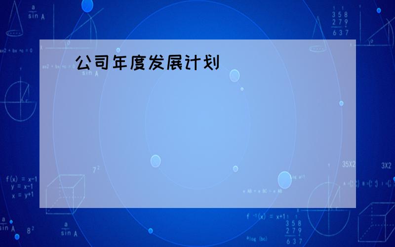 公司年度发展计划