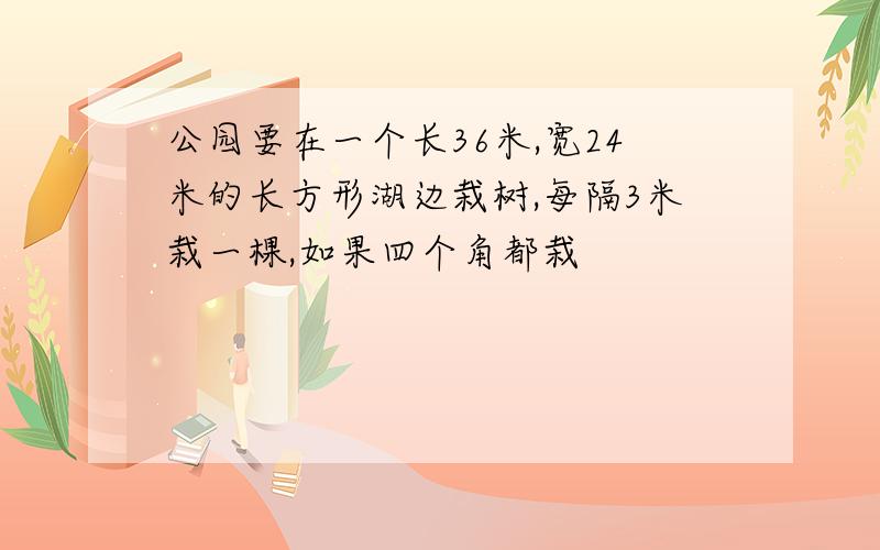 公园要在一个长36米,宽24米的长方形湖边栽树,每隔3米栽一棵,如果四个角都栽