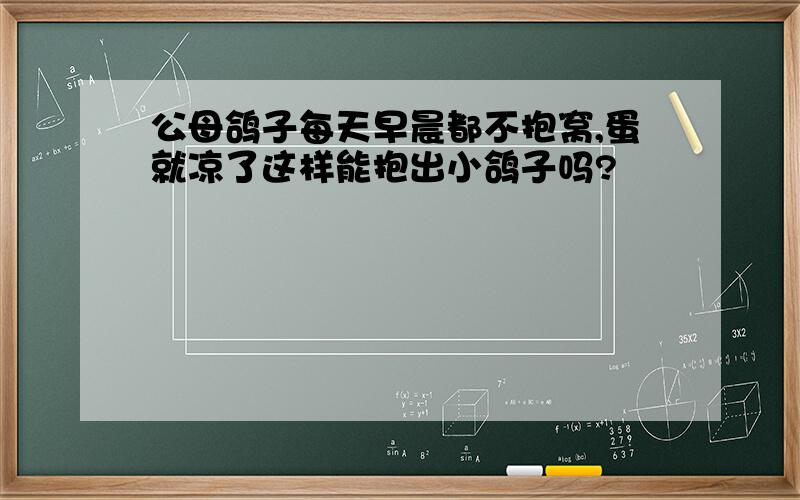 公母鸽子每天早晨都不抱窝,蛋就凉了这样能抱出小鸽子吗?