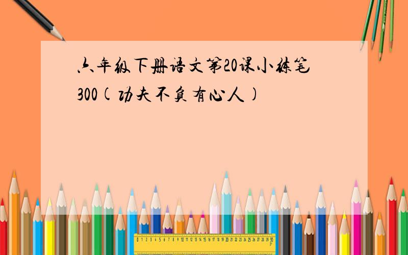 六年级下册语文第20课小练笔300(功夫不负有心人)