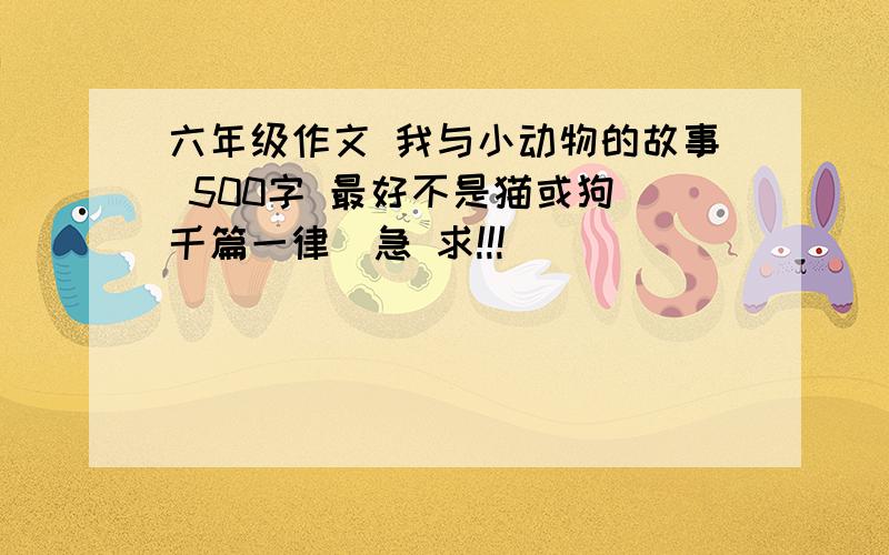 六年级作文 我与小动物的故事 500字 最好不是猫或狗(千篇一律)急 求!!!