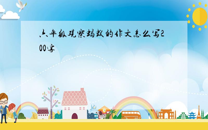 六年级观察蚂蚁的作文怎么写200字