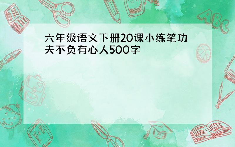 六年级语文下册20课小练笔功夫不负有心人500字