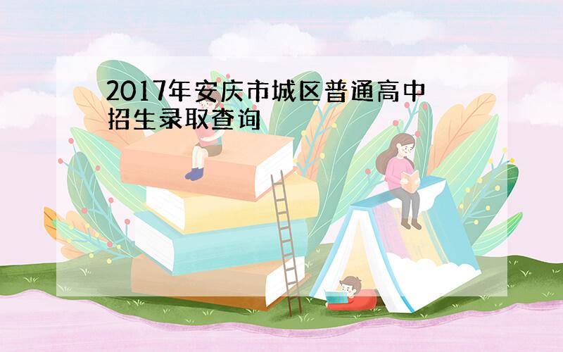 2017年安庆市城区普通高中招生录取查询