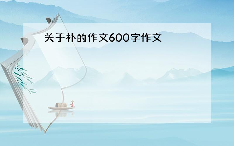 关于补的作文600字作文