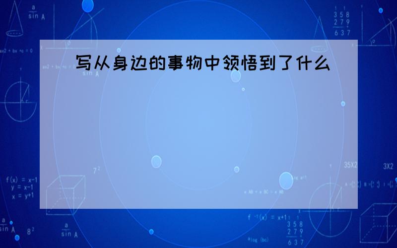 写从身边的事物中领悟到了什么