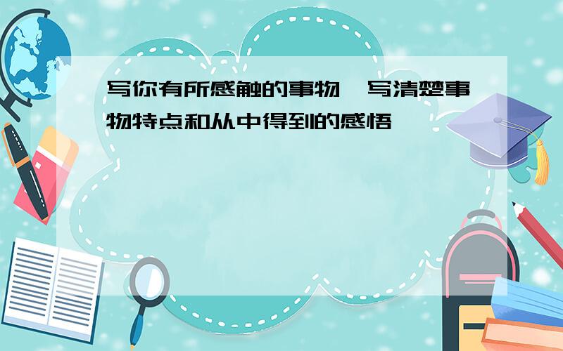 写你有所感触的事物,写清楚事物特点和从中得到的感悟