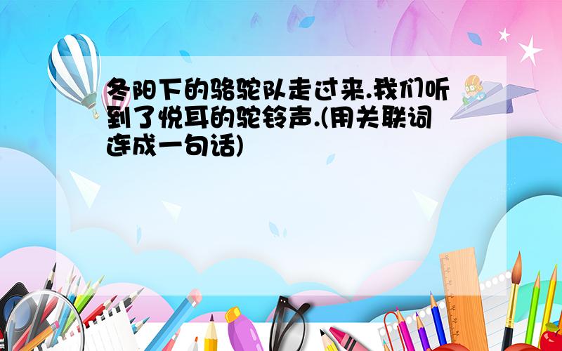 冬阳下的骆驼队走过来.我们听到了悦耳的驼铃声.(用关联词连成一句话)