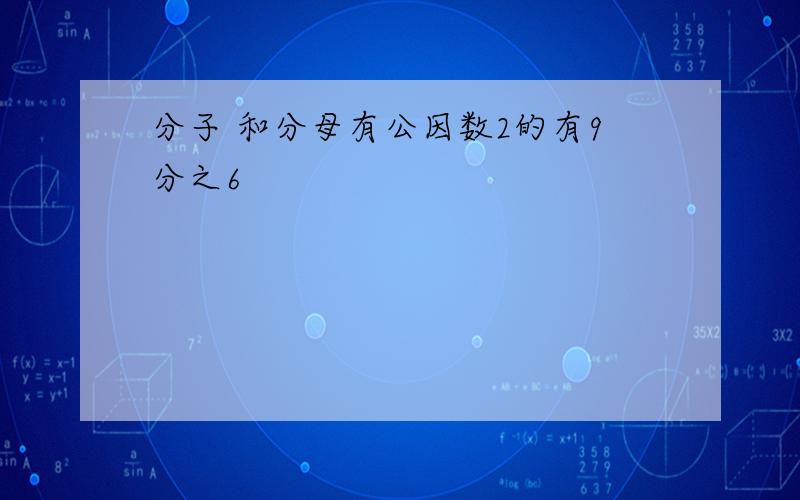 分子 和分母有公因数2的有9分之6