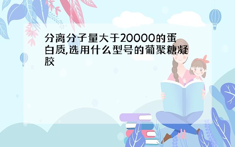 分离分子量大于20000的蛋白质,选用什么型号的葡聚糖凝胶