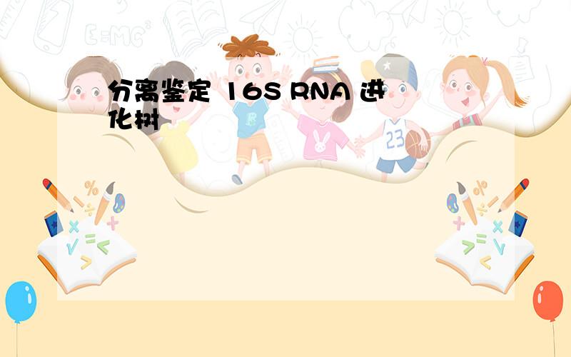 分离鉴定 16S RNA 进化树