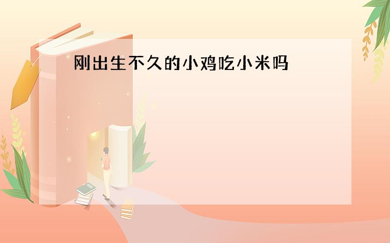 刚出生不久的小鸡吃小米吗