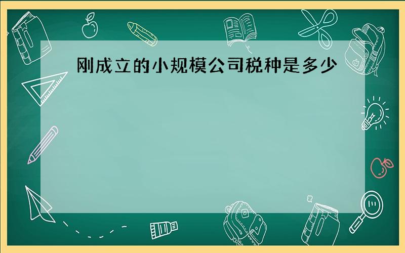 刚成立的小规模公司税种是多少