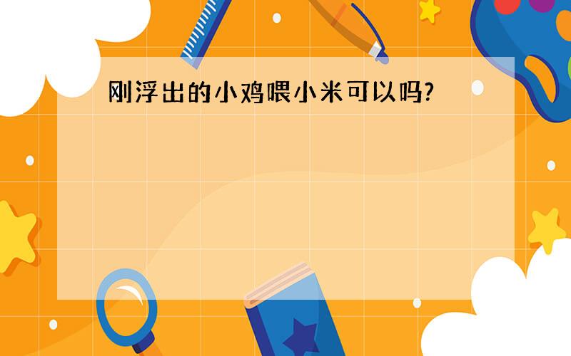 刚浮出的小鸡喂小米可以吗?