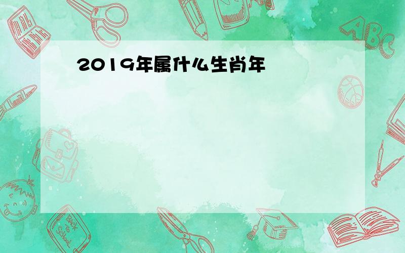 2019年属什么生肖年