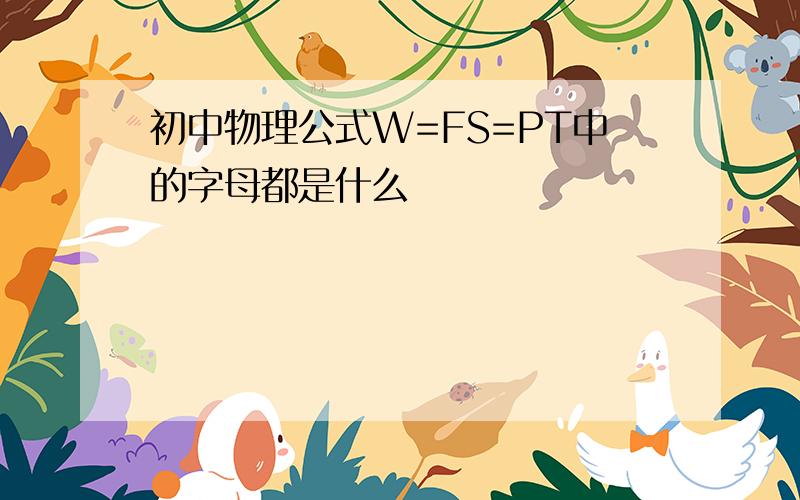 初中物理公式W=FS=PT中的字母都是什么