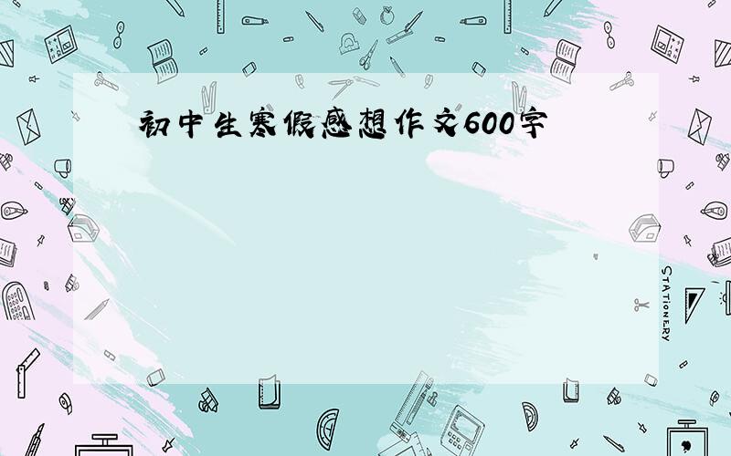 初中生寒假感想作文600字