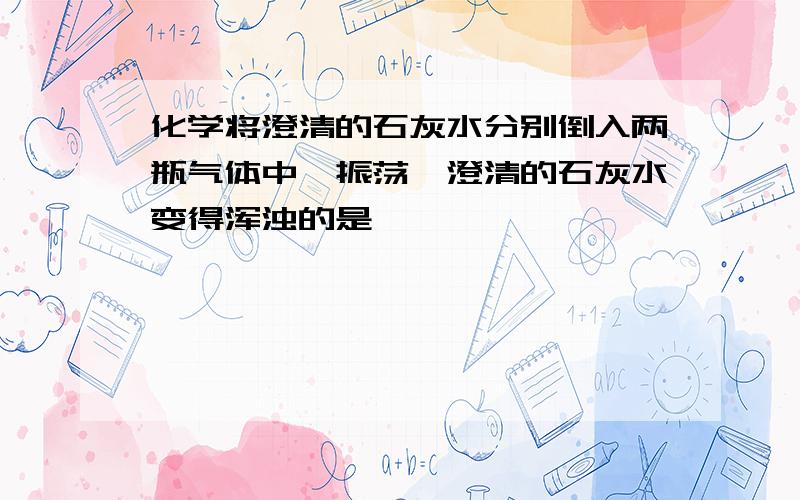 化学将澄清的石灰水分别倒入两瓶气体中,振荡,澄清的石灰水变得浑浊的是