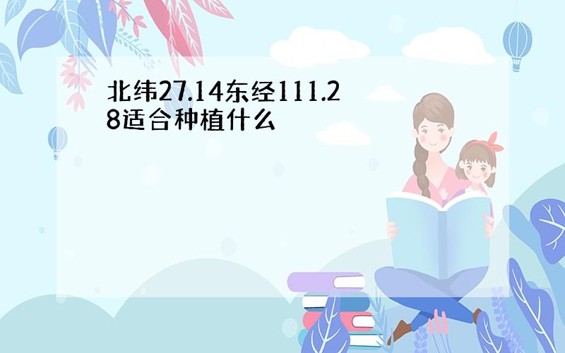 北纬27.14东经111.28适合种植什么